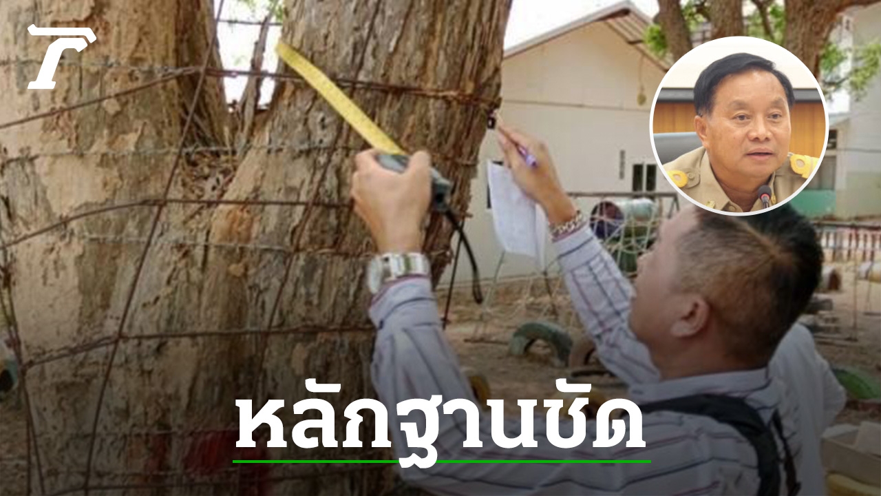 Kalasin Governor Exposes Illegal Rosewood Cutting Scandal: Evidence from CCTV Cameras Revealed