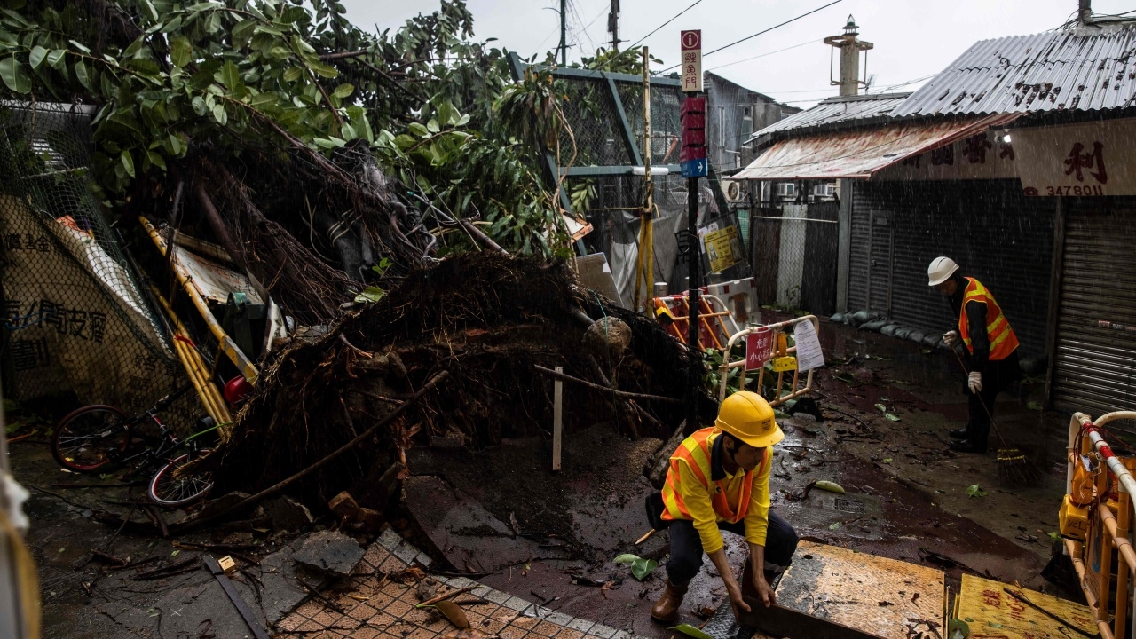 ไต้ฝุ่นเซาลาขึ้นฝั่งกวางตุ้ง ฝนตกหนัก ลมแรง ต้นไม้ล้มทับรถ ดับ 1 ศพ