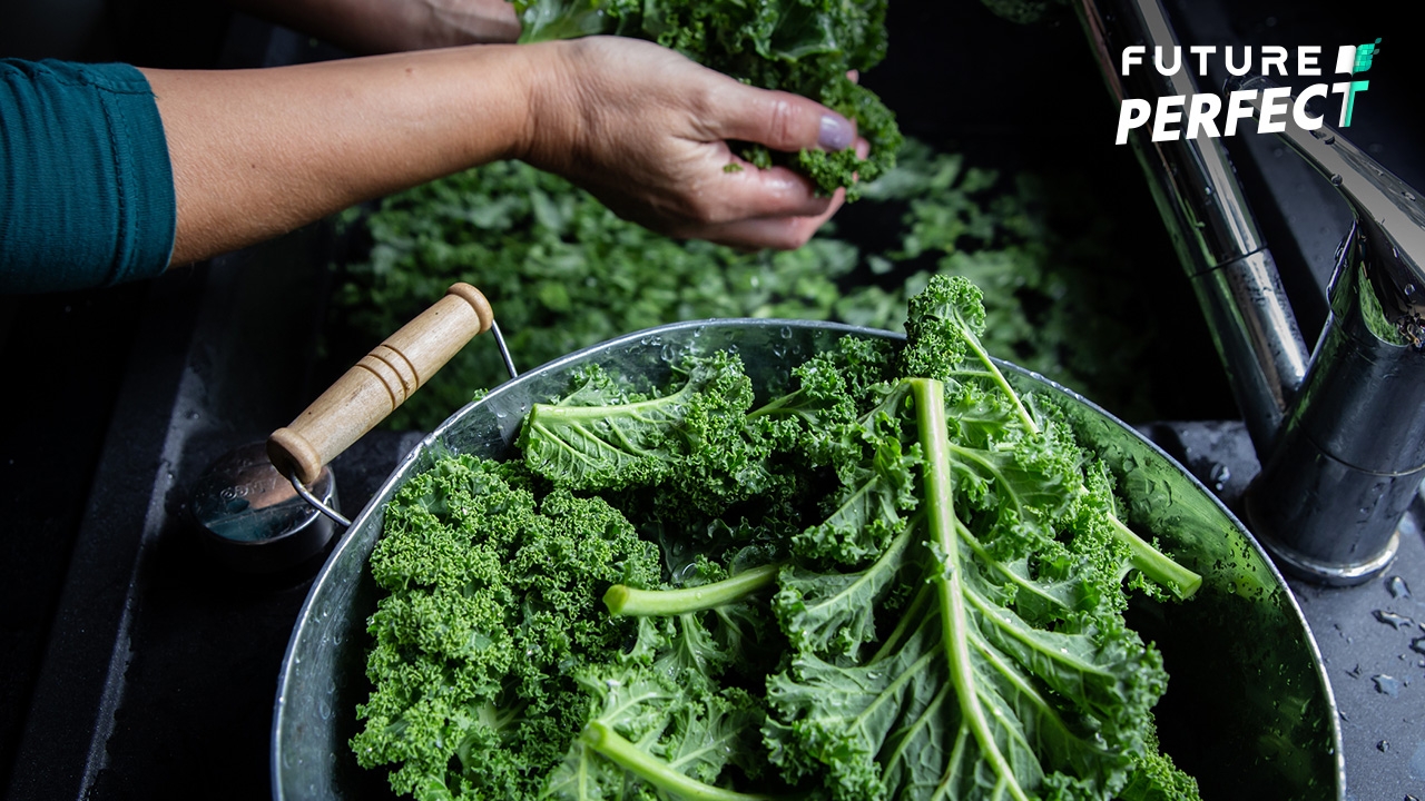 นักวิจัยชี้ 'ผักเคล' ซุปเปอร์ฟู้ดช่วยกู้โลก ลดภาวะเรือนกระจก