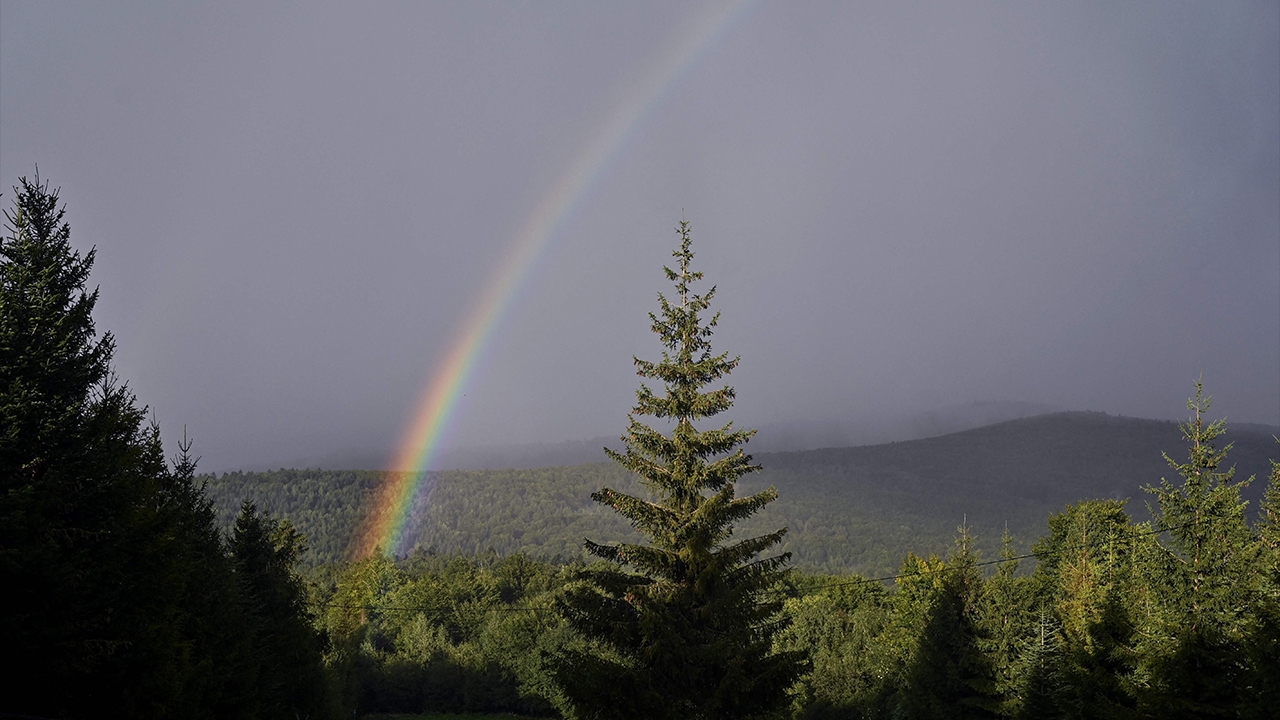 นักวิจัยไขปริศนาอุกกาบาตอายุกว่า 4,600 ล้านปี