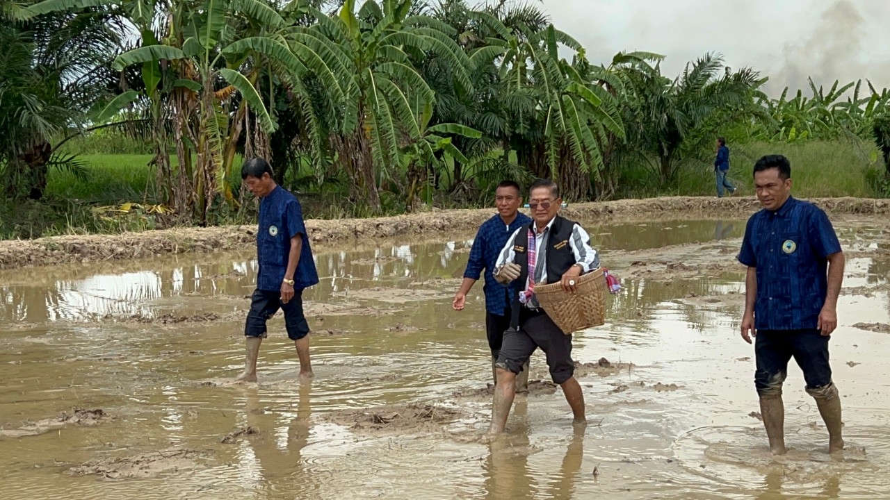 อบต.ลำลูกกา แจกพันธุ์พืชช่วยเหลือเกษตรกร ตามโครงการส่งเสริมฯ เศรษฐกิจพอเพียง