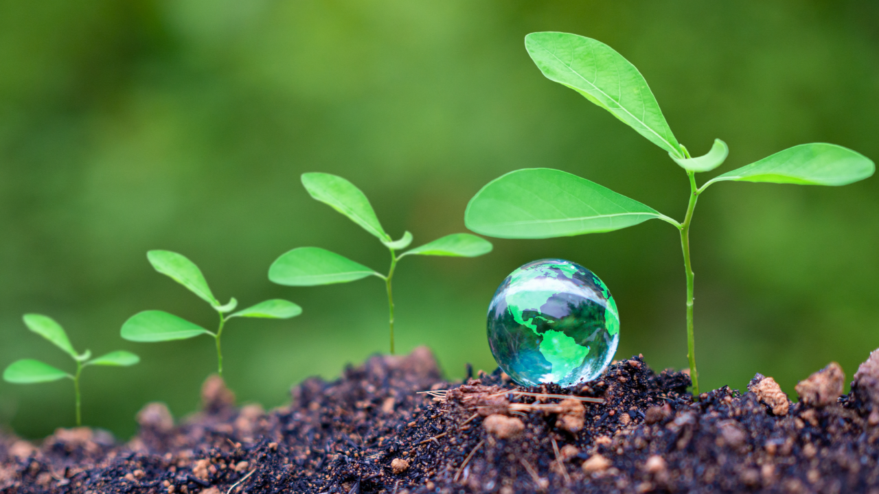 10 พฤติกรรมช่วยลดโลกร้อน เพียงแค่ปรับ โลกก็เปลี่ยน