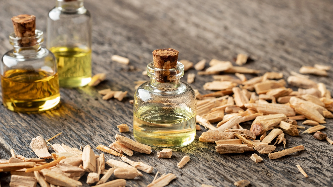 เผยสรรพคุณน้ำมันหอมระเหย จากไม้มงคล ที่นิยมในประเทศไทย