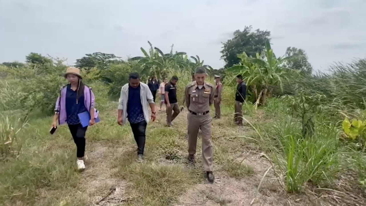 ตร.บางปะหัน เร่งตามจับแก๊งโจรลักตัดกล้วยน้ำว้าจากสวนชาวบ้าน เผยรู้ตัวแล้ว