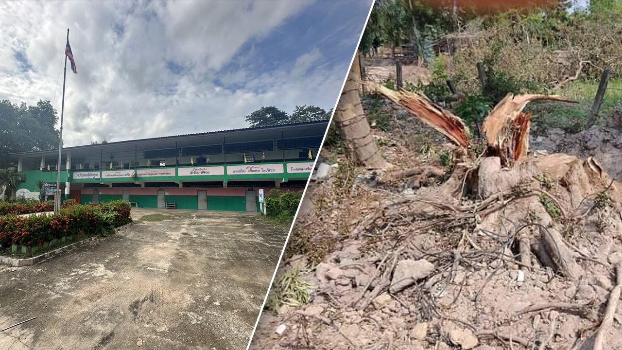 ชาวบ้านชี้เบาะแสใหม่ "ตัดไม้พะยูงพระราชทาน" 9 ต้นในโรงเรียน อ้างหาเงินเข้าหลวง