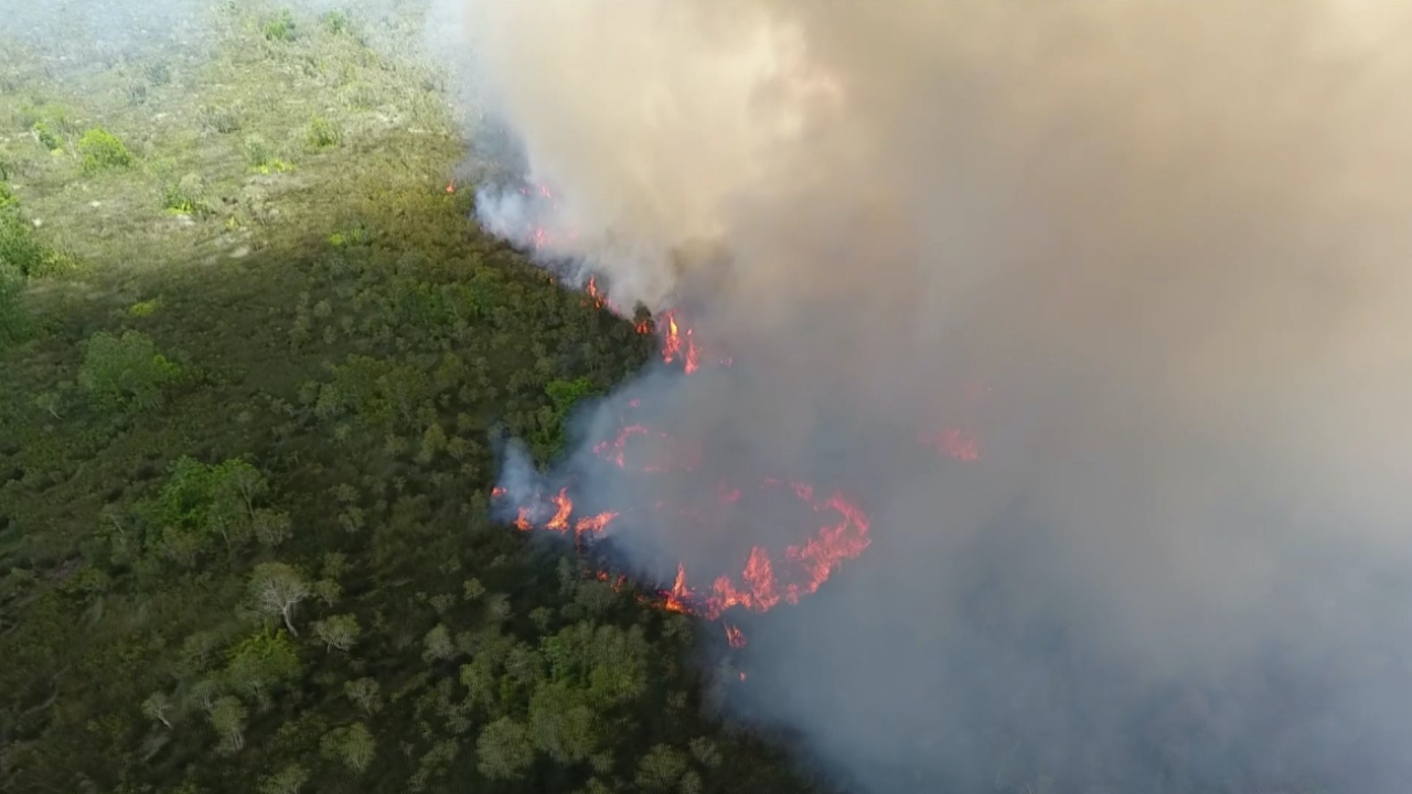 ไฟป่าพรุควนเคร็งเข้าวันที่ 3 ลุกไหม้หนัก ชี้สาเหตุจากเผา "กระจูด" 