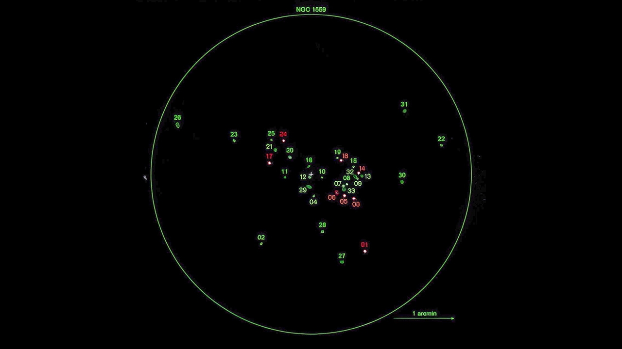 Discovery of High-Intensity X-ray Sources in NGC 1559: A Stunned Astronomical Observation