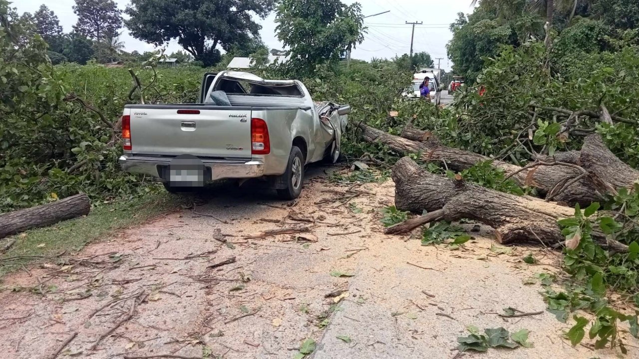 กระบะดวงแตกเจอต้นไม้ทับคาถนนที่ขอนแก่น ผัวตายเมียสาหัส เหตุคนตัดไม้ไม่ระวัง