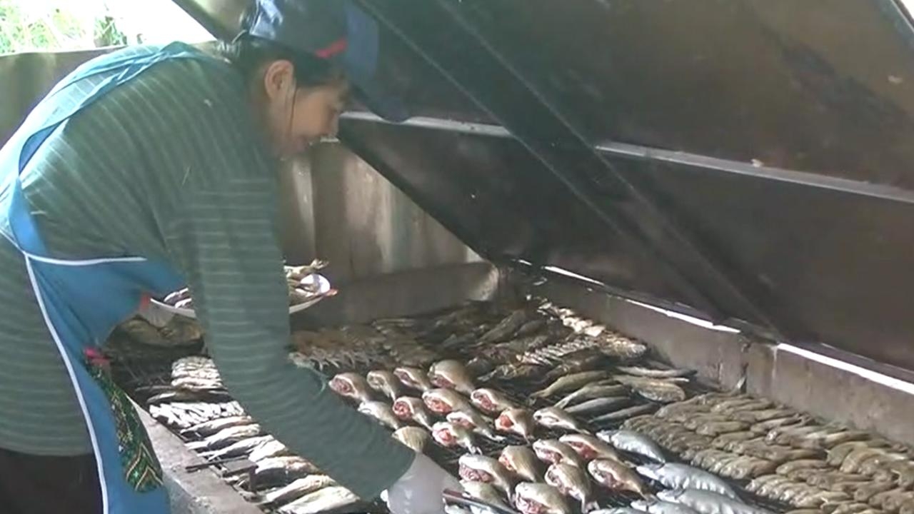 ชาวบ้านโคราช จับปลาจากอ่างลำเชียงไกร ทำปลาเข้าอุโมงค์ ขายสร้างรายได้แก่ชุมชน