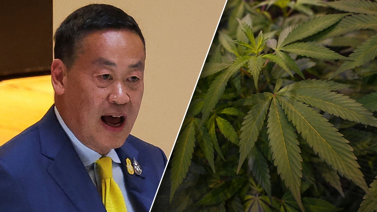 นายกฯ เศรษฐาให้สัมภาษณ์บลูมเบิร์ก เตรียมยกเลิกกัญชาเสรี