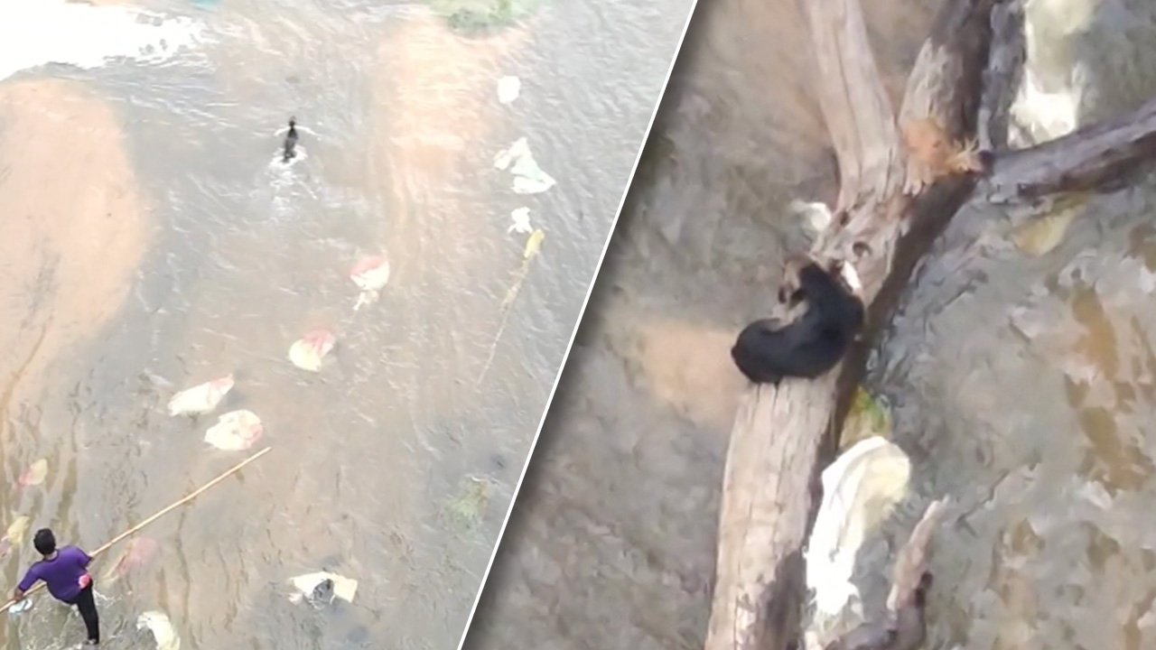 ทุลักทุเล ช่วยน้องหมา ตกสปิลเวย์ อ่างเก็บน้ำห้วยศาลา จนรอดชีวิต (คลิป)