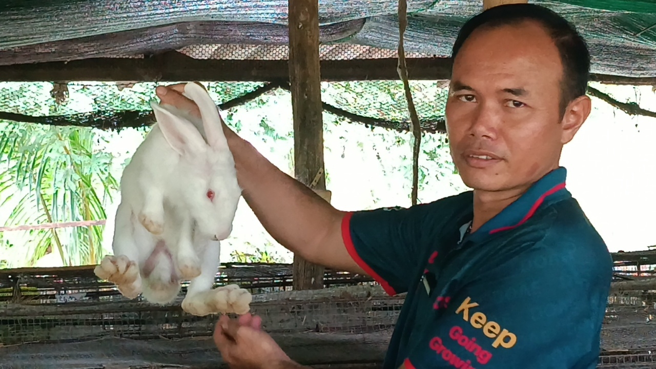 หนุ่มเกษตรอำเภอ ใช้เวลาว่างเพาะกระต่ายเนื้อ สร้างรายได้แต่ละเดือนครึ่งแสน