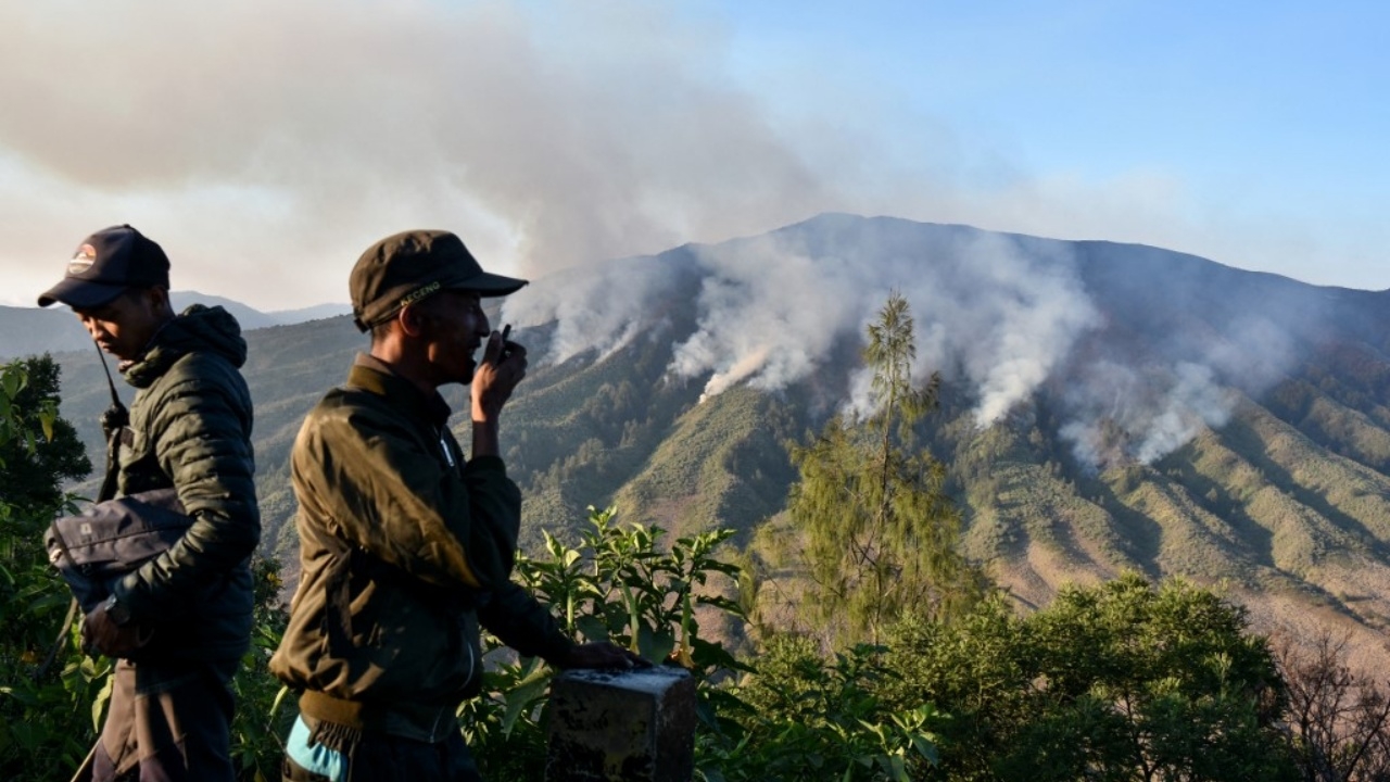 ออร์แกไนเซอร์ ‘คอตก’ โดนข้อหา พาบ่าวสาวไปถ่ายพรีเวดดิ้ง ทำไฟไหม้ป่าอินโดฯ
