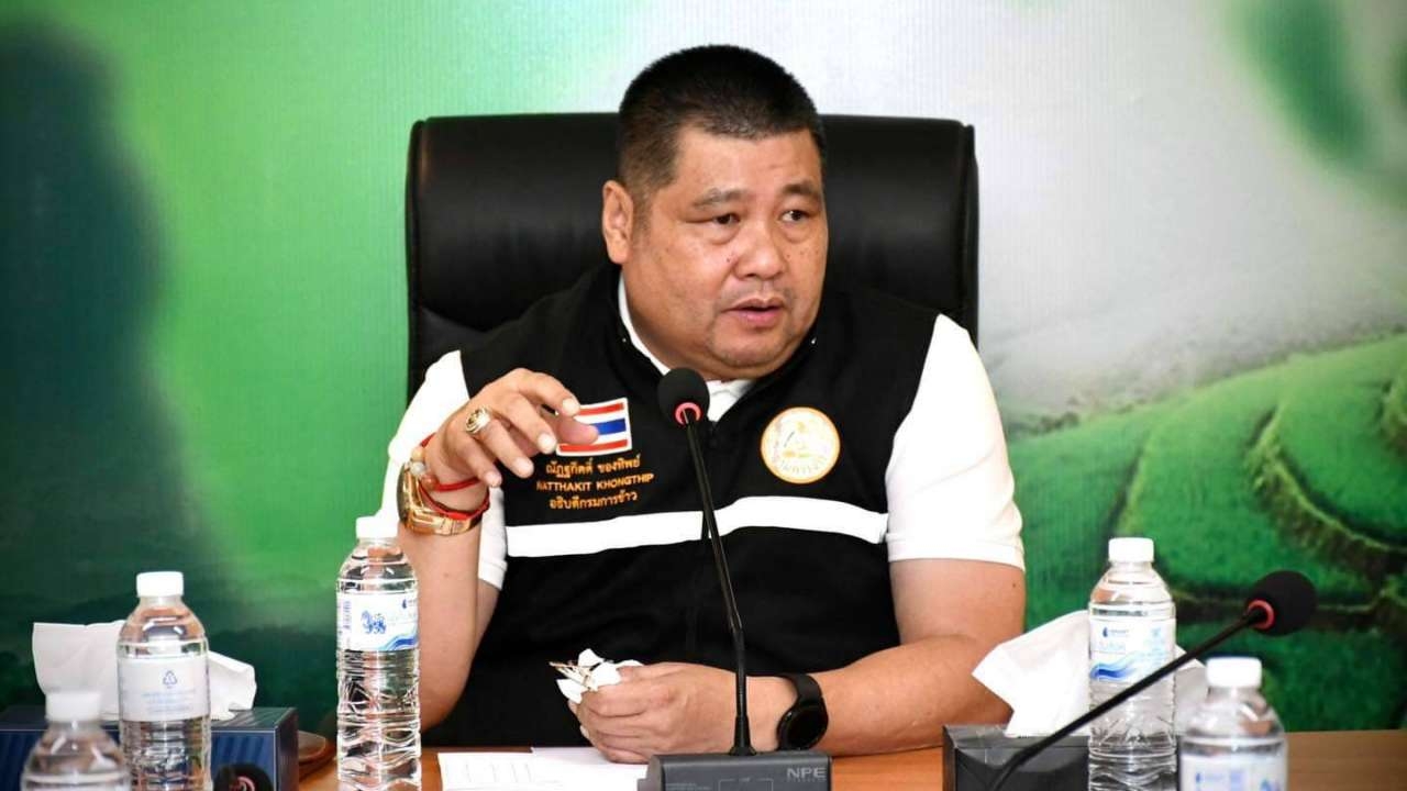 "กรมข้าว" หนุนชาวนา เกษตรกร เปลี่ยนเมล็ดพันธุ์ข้าวเพื่อแข่งขันตลาดโลก