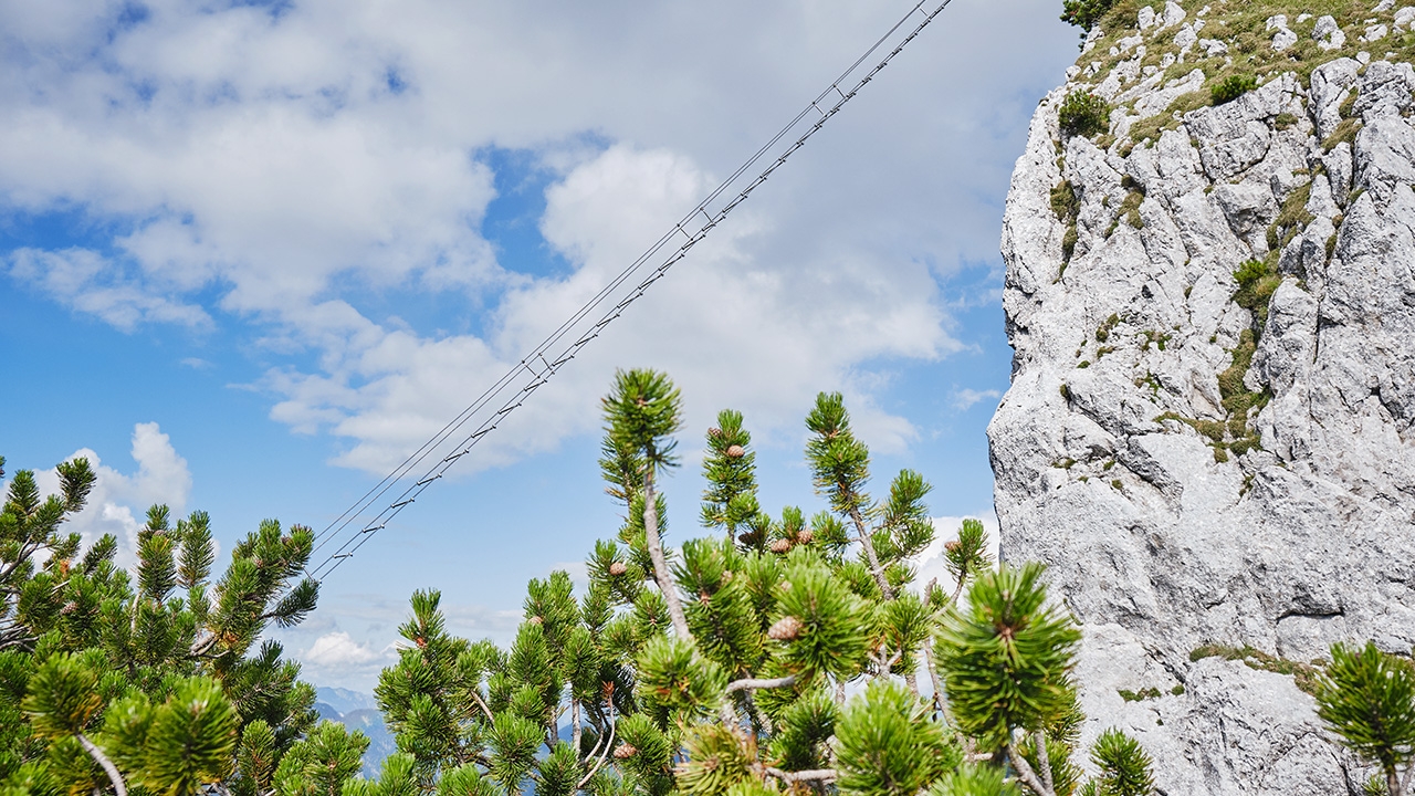 สลด นักปีนเขาอังกฤษพลัดตกเขาสูง 91 เมตรในออสเตรีย เสียชีวิต