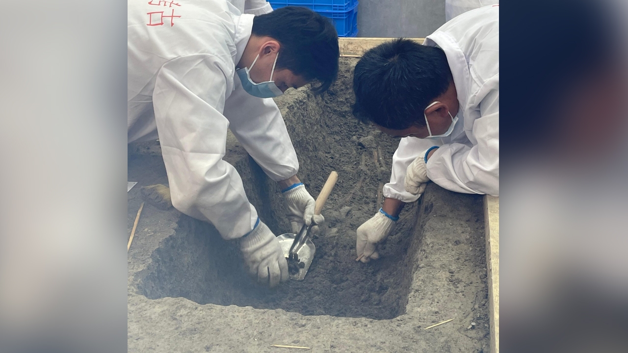 จีนสกัด DNA จากโครงกระดูกมนุษย์โบราณ อายุ 6,000 ปี 