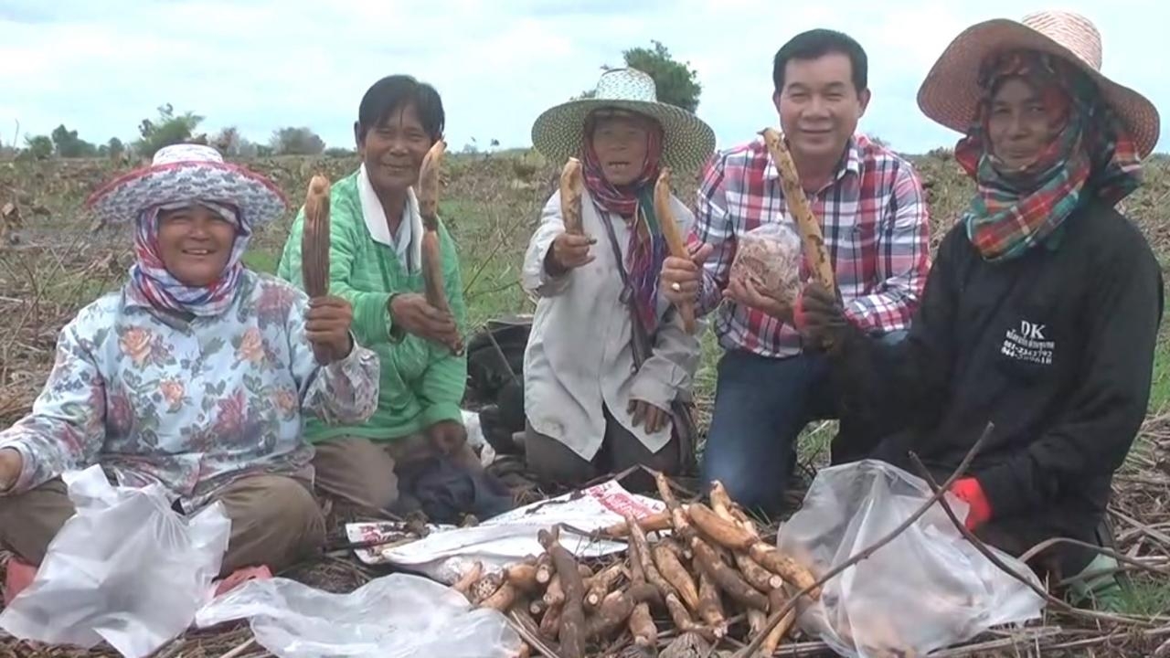 ชาวบ้านโคราชพลิกวิกฤติแล้ง ออกขุดไหลบัวตามแหล่งน้ำแห้ง ไปขายสร้างรายได้เสริม