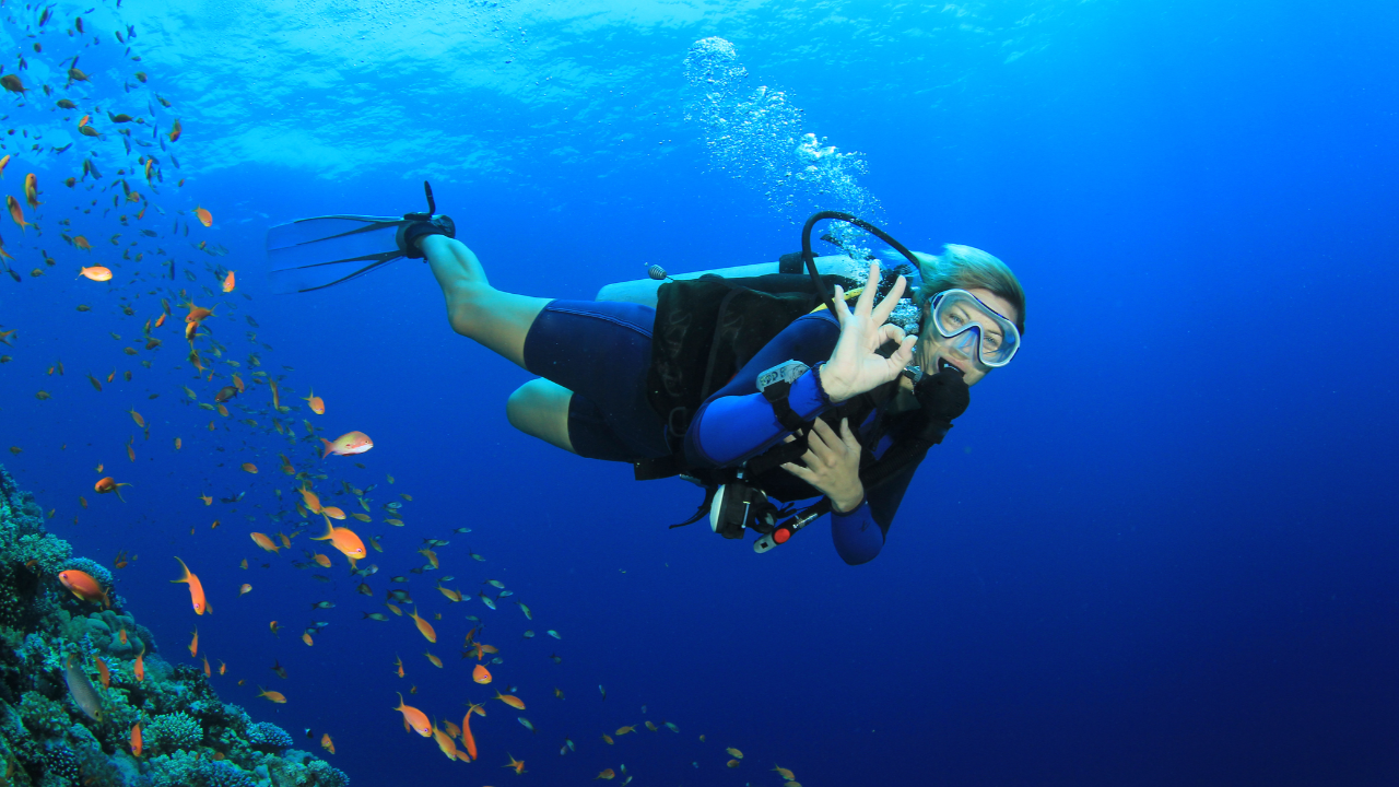 "ดำน้ำสกูบา" ต้องว่ายน้ำเป็นไหม เตรียมตัวอย่างไรบ้าง