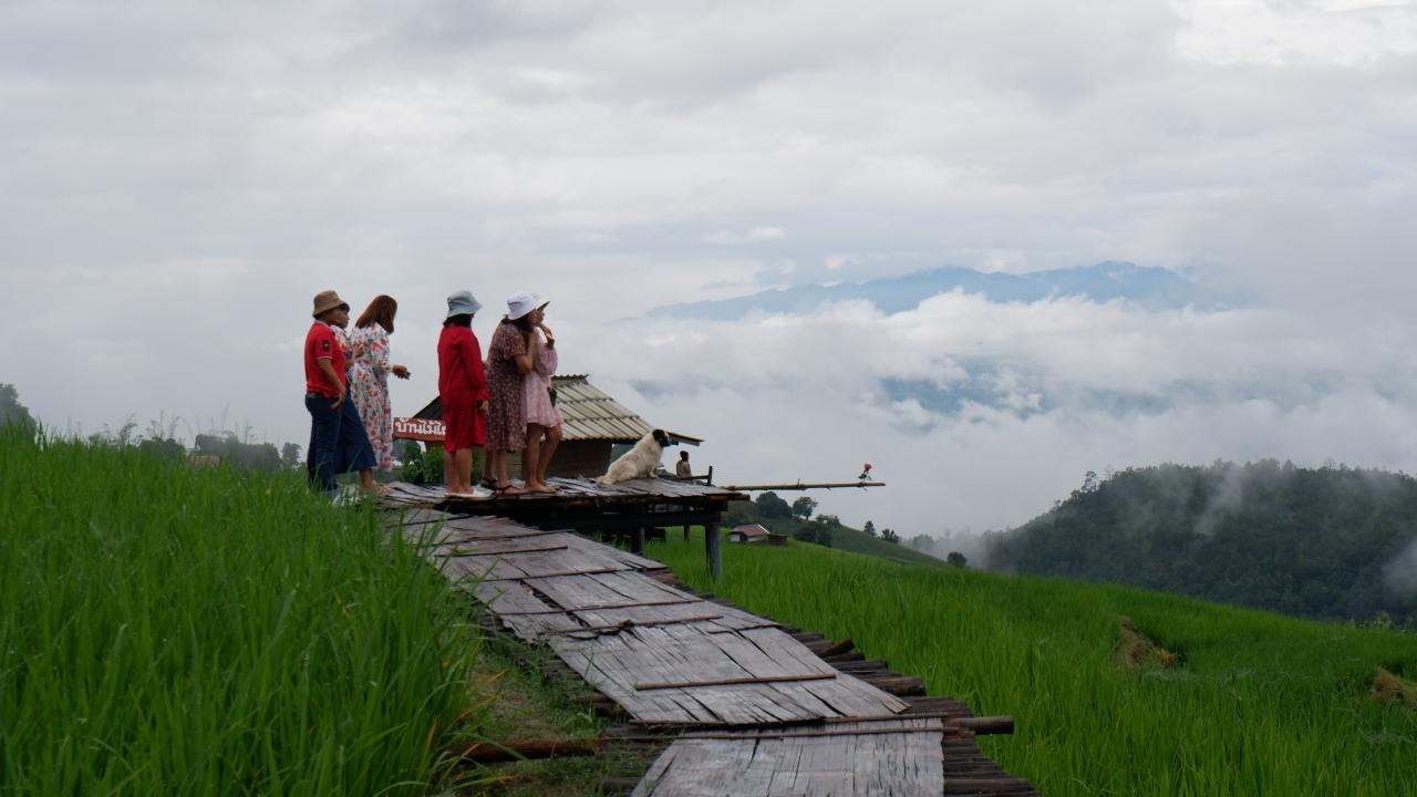 เที่ยวนาขั้นบันไดเขียวขจีกลางหมอก บ้านป่าบงเปียง โฮมสเตย์จองยาวถึง พ.ย.66 แล้ว 