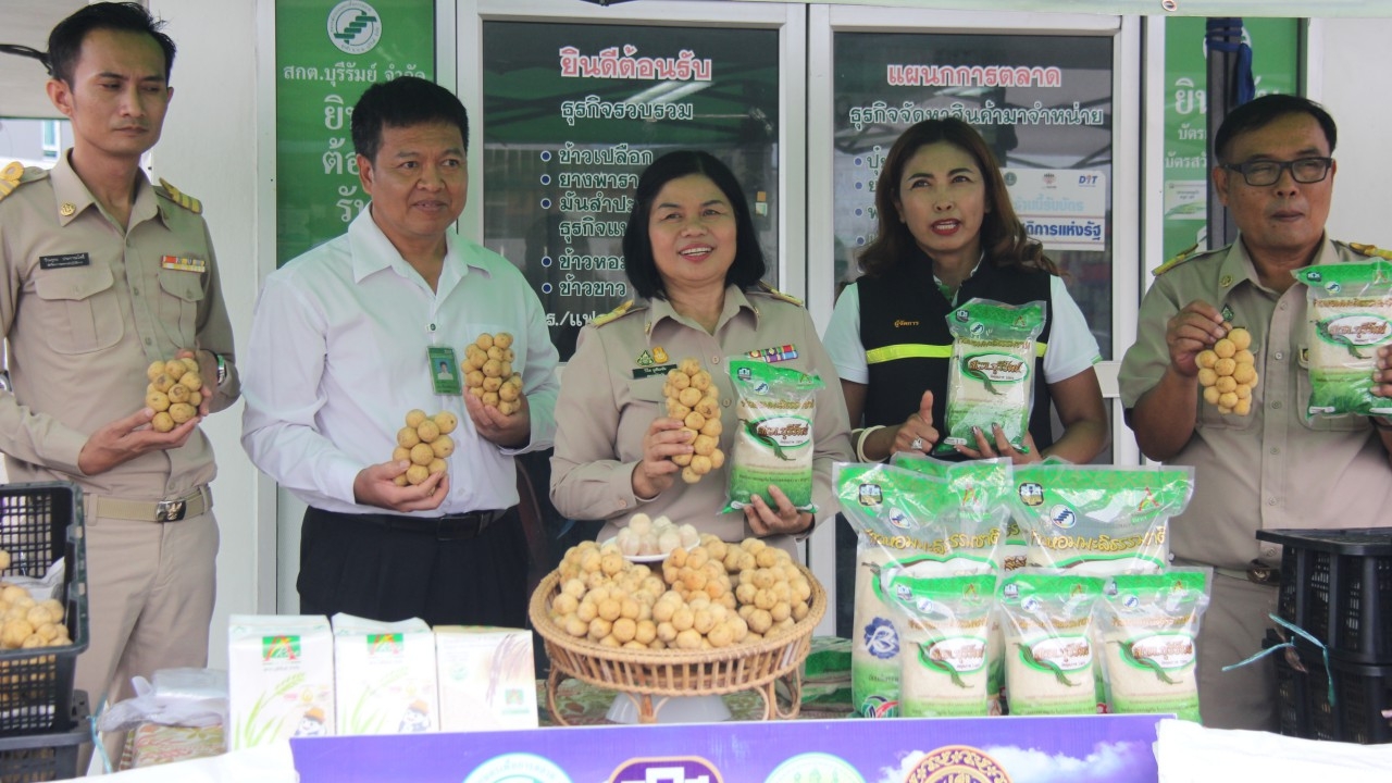 สกต.บุรีรัมย์ ข้าวหอมมะลิดินภูเขาไฟ แลกกับ ลองกองตันหยงมัสจาก สกต.ตรัง