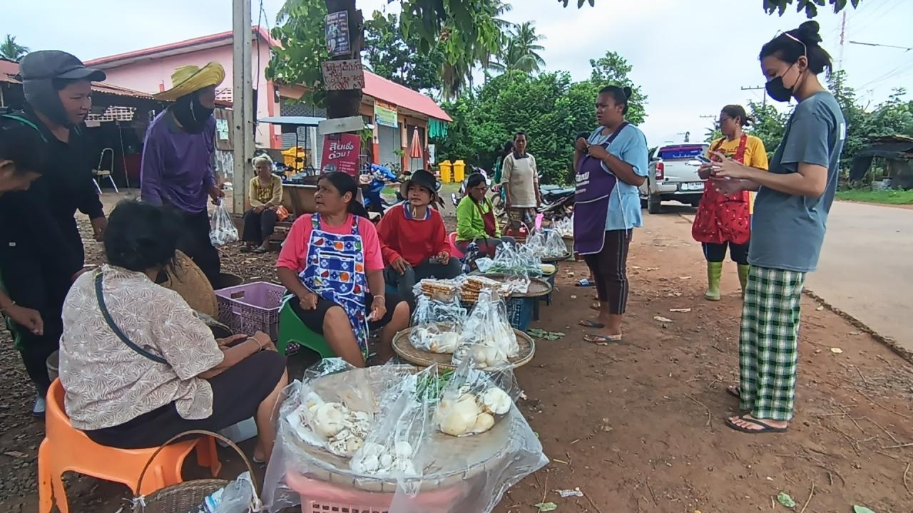 โคราชเห็ดป่าออกเพียบ ชาวบ้านครบุรีเก็บมาขาย ทำรายได้สูงสุดวันละ 2-4 พันบาท