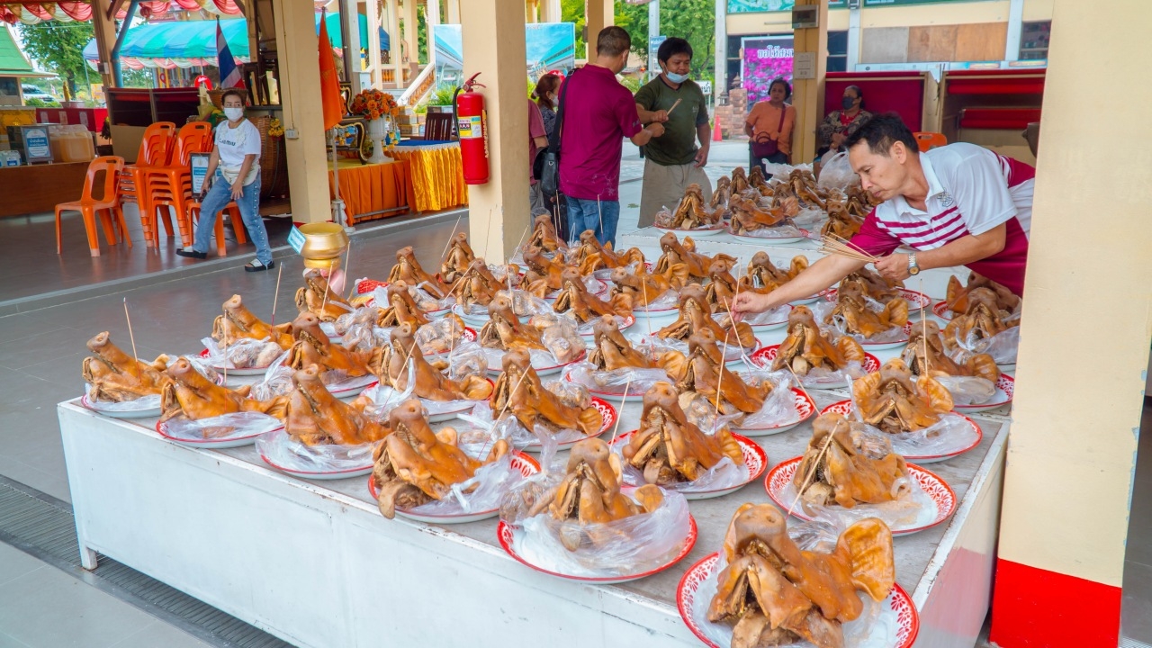 เหล่าคนดวงเฮง ขนหัวหมูมาแก้บน "หลวงพ่อสมหวัง" แถมได้ "เลขเด็ด" ประทัดลุ้นโชค