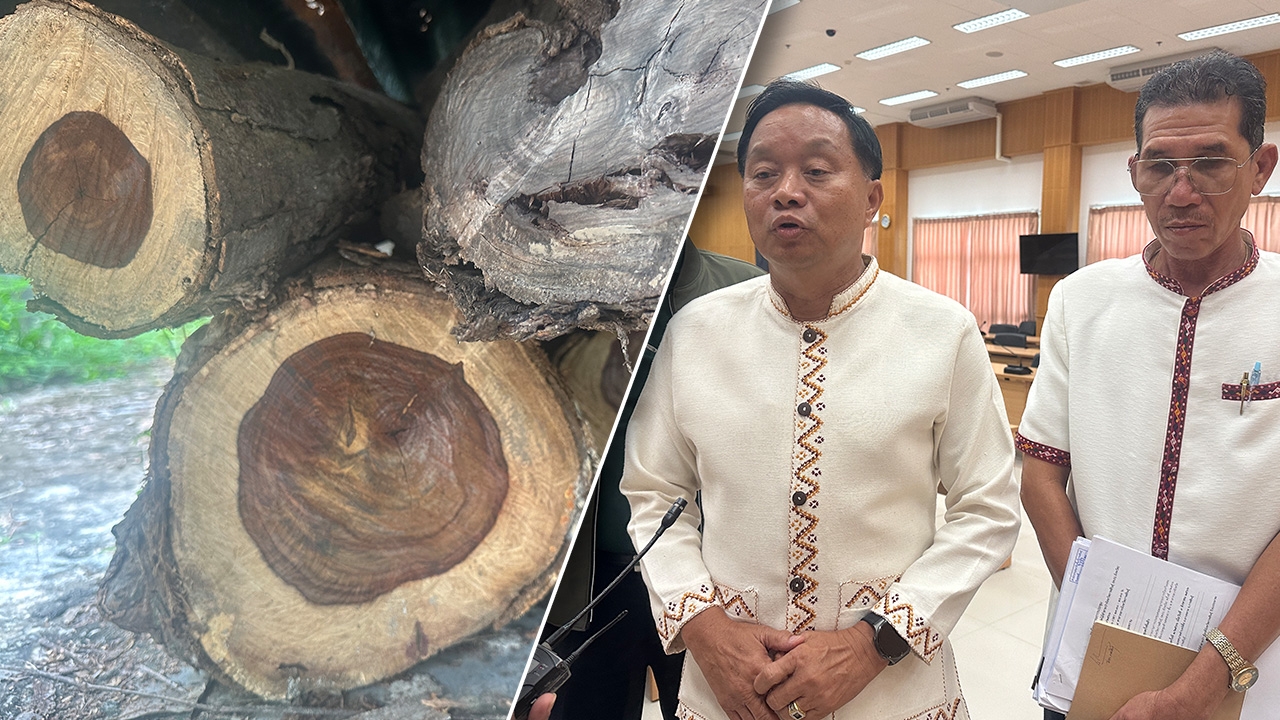 บุกตัดไม้พะยูง 100 ปี ในโรงเรียนแห่งที่ 8 ผู้ว่าฯกาฬสินธุ์ ลั่นให้รอรับกรรม