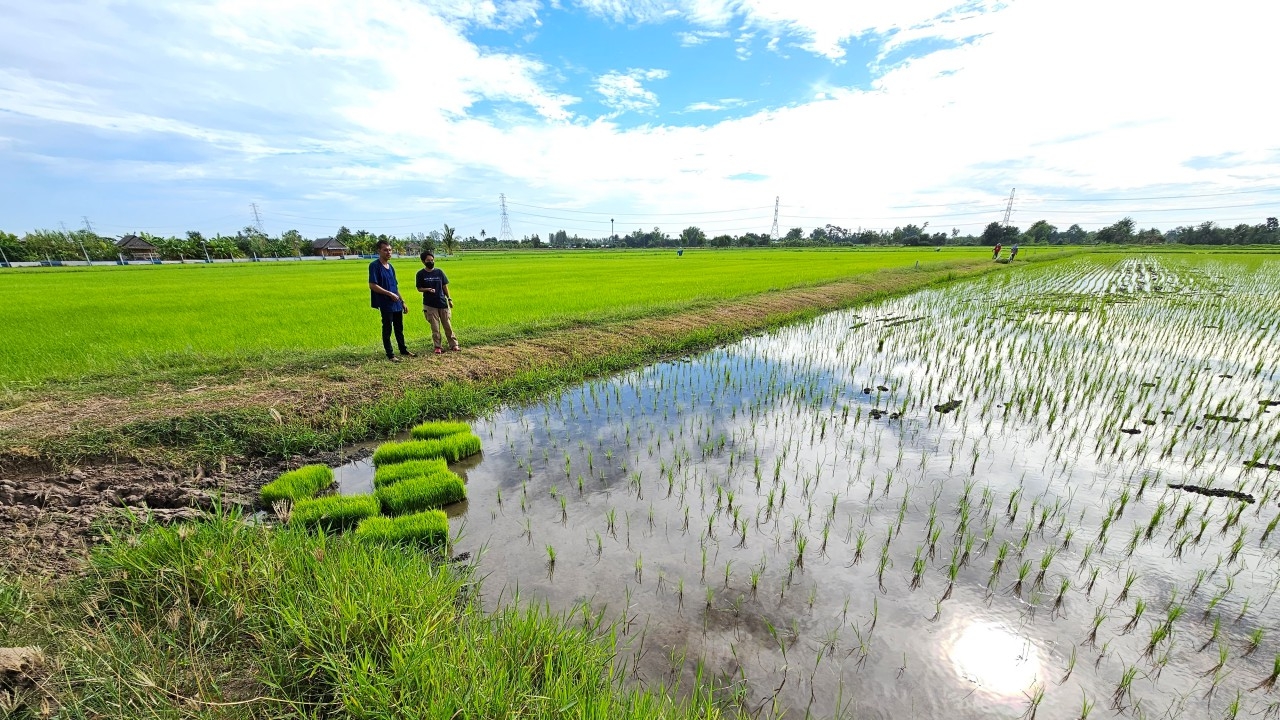 ชาวนาราชบุรี ขานรับนโยบายพักหนี้ 3 ปีรัฐบาลเศรษฐา แต่กังวลรายละเอียดไม่ชัด