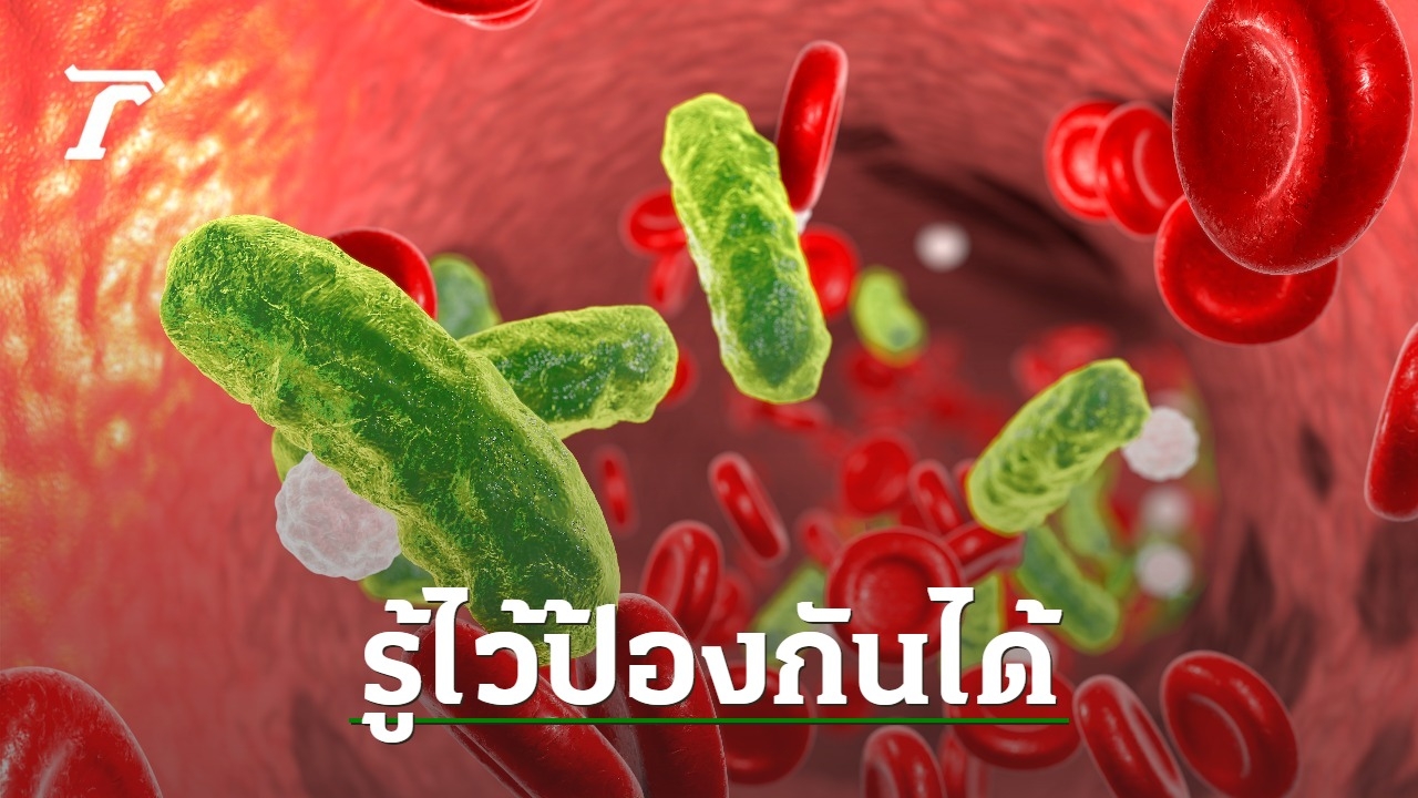 Understanding and Preventing Infection in the Bloodstream: Causes, Treatment, and Prevention