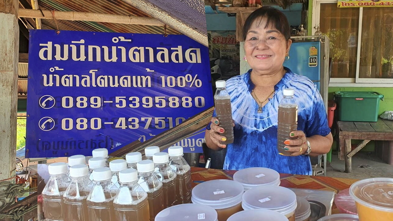 วิชานวด..งวงตาล ภูมิปัญญานํ้าตาลสด