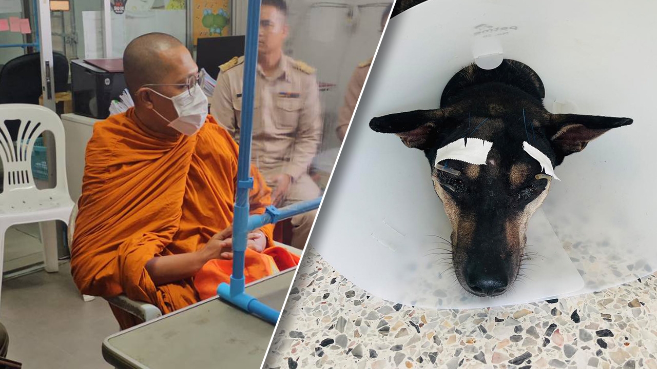 ศาลจำคุก 2 เดือน ปรับ 5 พัน ให้รอลงอาญาเจ้าอาวาสตีหมาวัดสาหัส