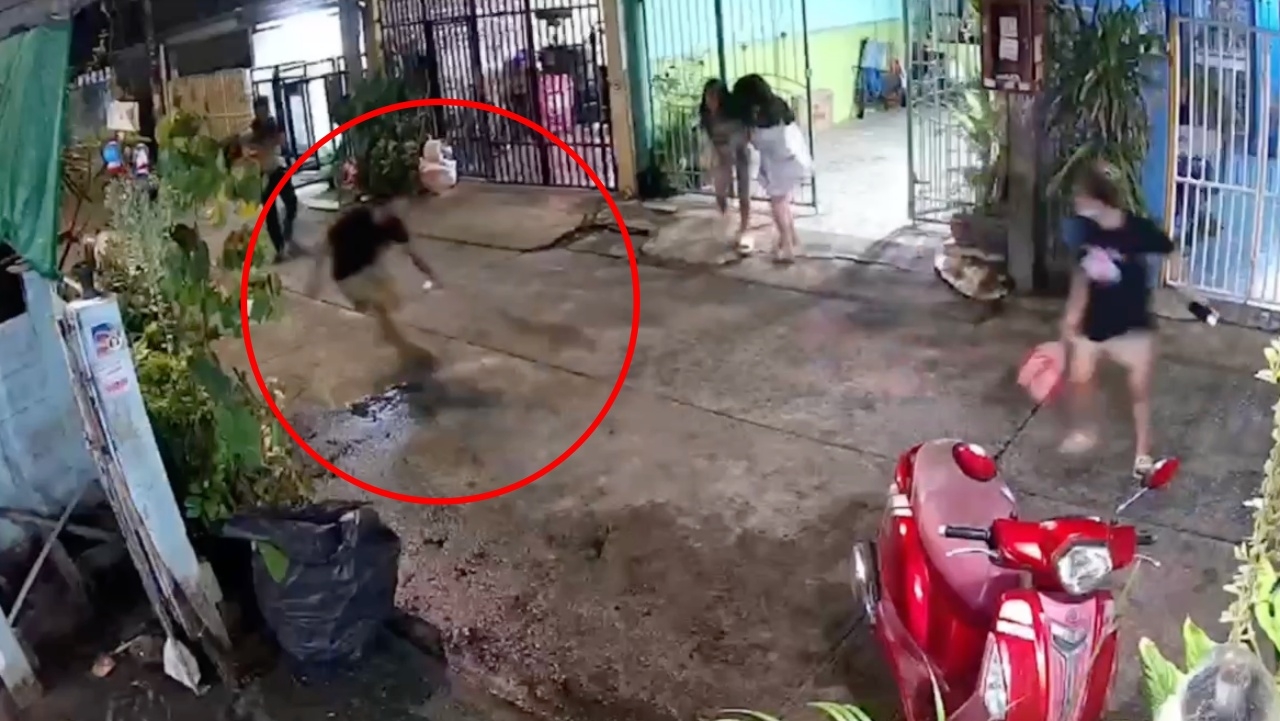 วงแตก เมื่อหนุ่มช่างสักต้องมาจับงู เพื่อนบ้านมาให้กำลังใจเพียบ