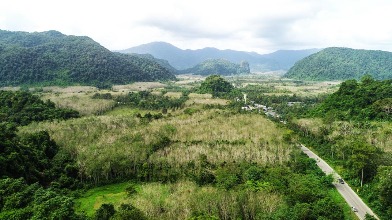 ผู้ว่าฯ พัทลุง หนุนทำสกายวอล์ก "ควนไข่หด" เป็นแลนด์มาร์กใหม่ดึงดูดนักท่องเที่ยว