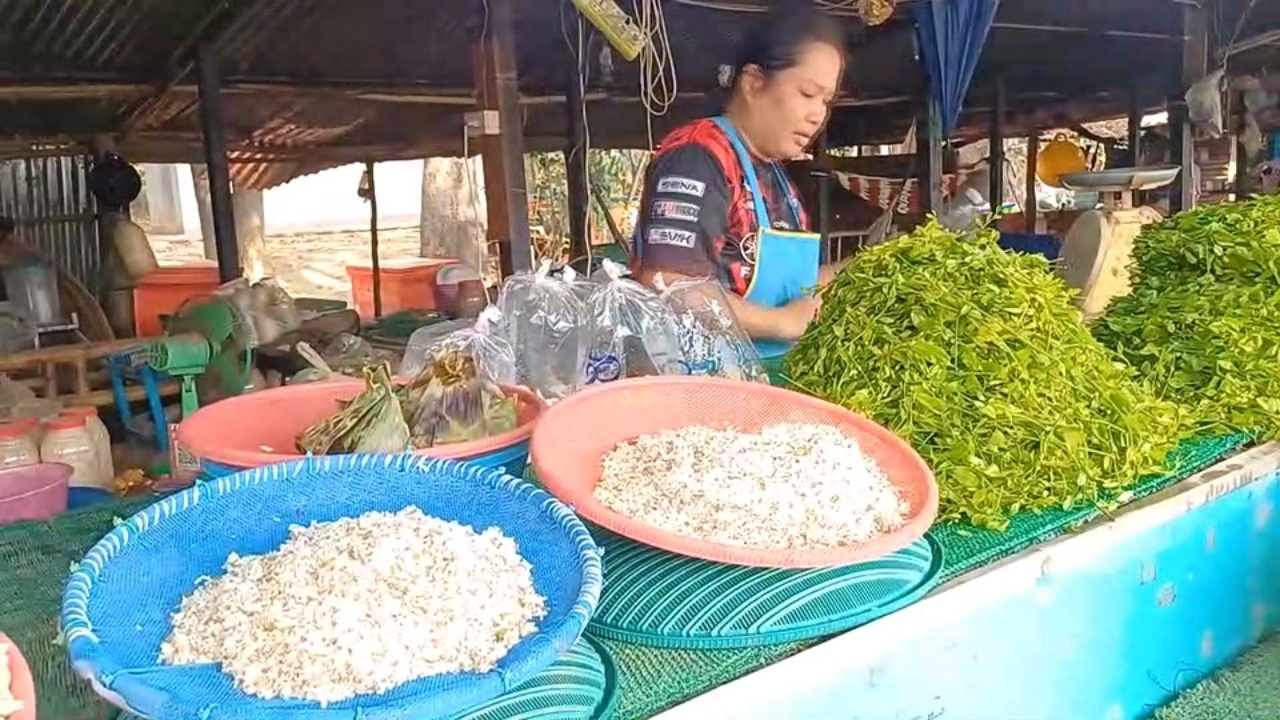 เปิดฤดูกาลไข่มดแดงชัยภูมิ ราคา กก.ละ 800 แพงแต่ขายดี ทำรายได้ให้ชาวบ้าน 