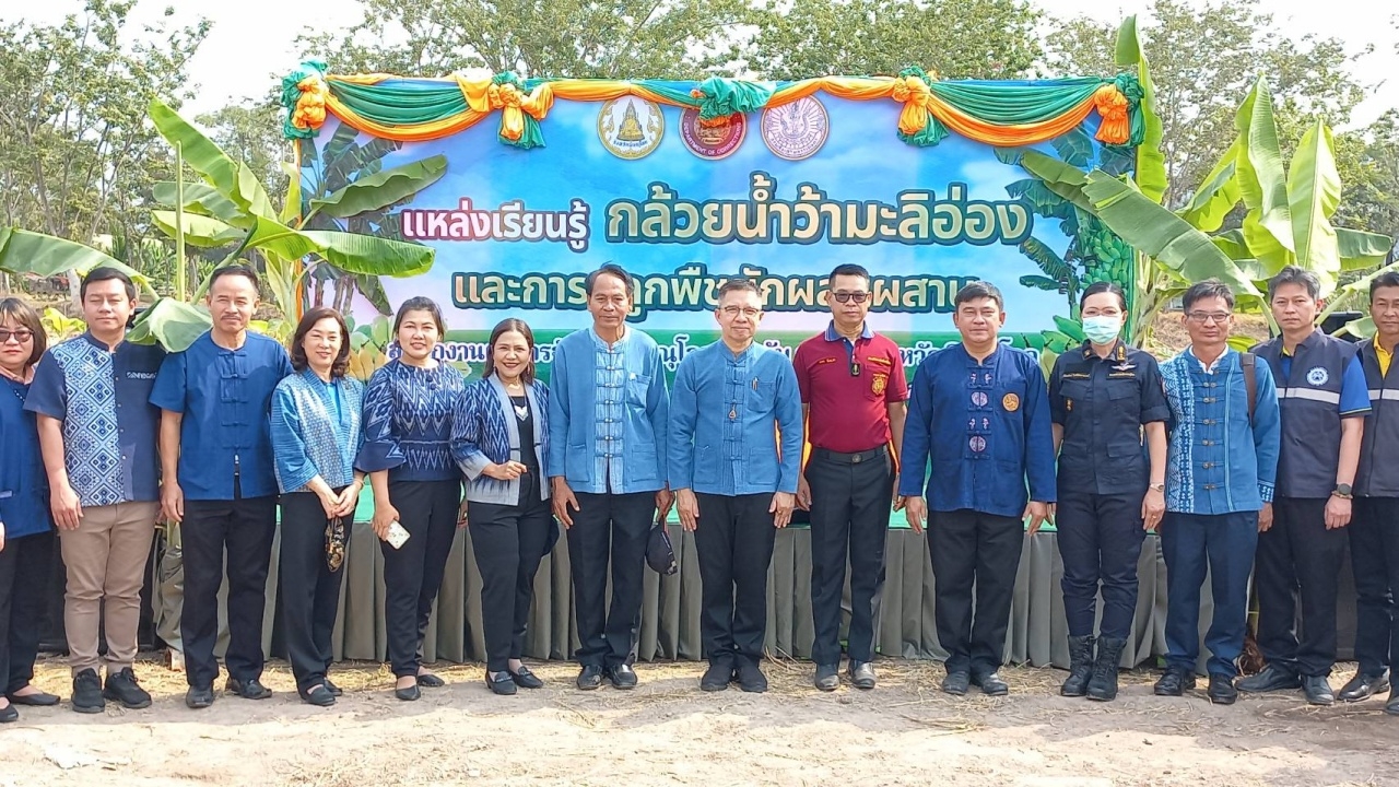 เกษตรพิษณุโลก เปิดแหล่งเรียนรู้ปลูกกล้วยน้ำว้ามะลิอ่อง-สวนผักผสมผสานในเรือนจำ