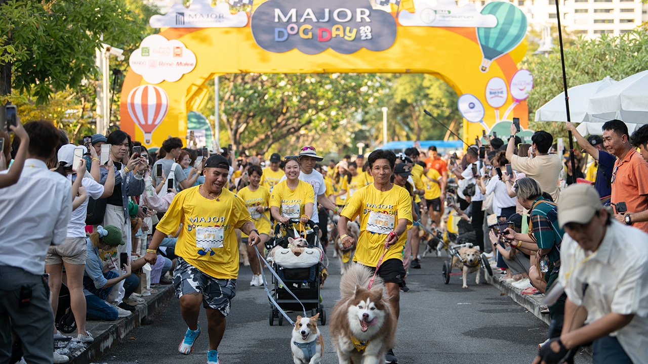 MAJOR DOG DAY 2023 งานรวมตัวคนรักน้องหมาสุดยิ่งใหญ่ จาก เมเจอร์ ดีเวลลอปเม้นท์ 