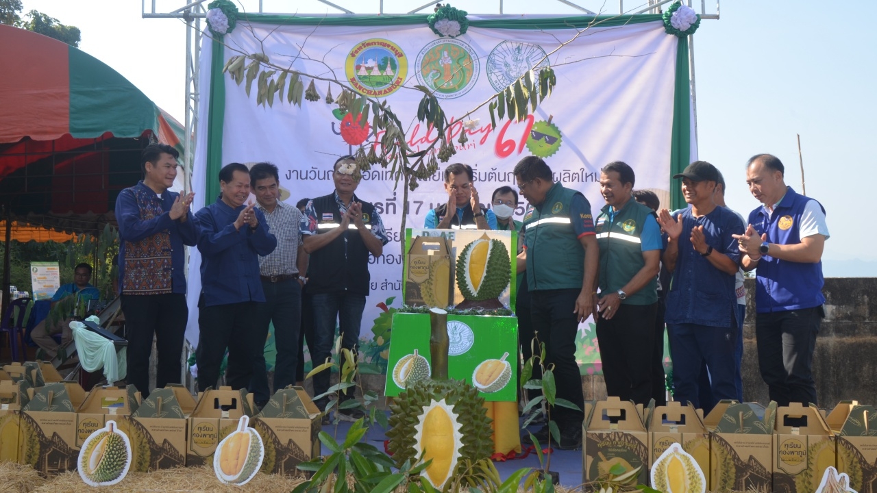 เกษตรจังหวัดกาญจน์ จัดงานวันถ่ายทอดเทคโนโลยีฯ ที่แปลงใหญ่ทุเรียนทองผาภูมิ