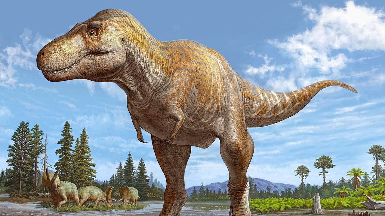 พบซากฟอสซิลนิวเม็กซิโกคือไทแรนโนซอรัสชนิดใหม่