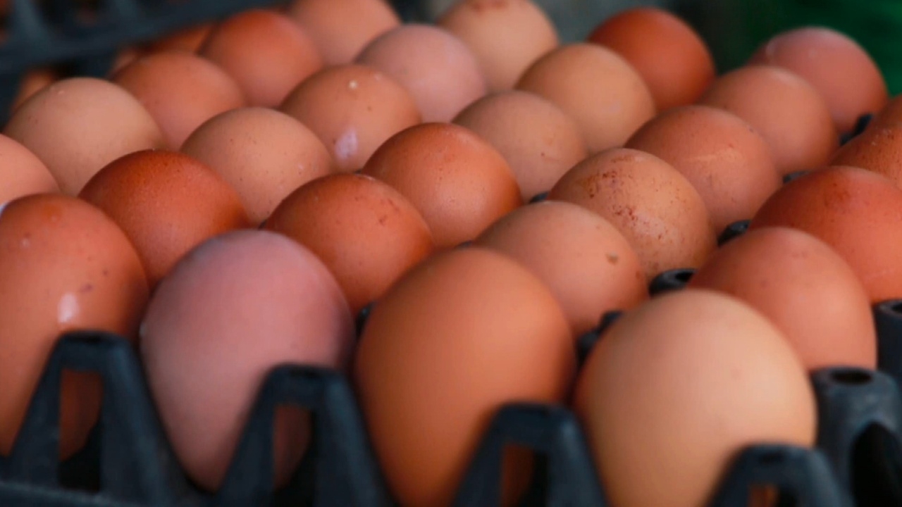 แม่ค้าไข่ไก่นครสวรรค์เห็นใจผู้บริโภค ยังไม่ขึ้นราคา ขณะที่ประกาศราคาใหม่ลง 20 สต.