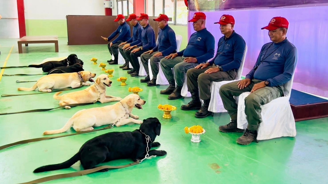 ใครเห็นก็ใจฟู เหล่า "สุนัขตำรวจ" ทำพิธีไหว้ครูฝึก เนื่องในวันครูแห่งชาติ