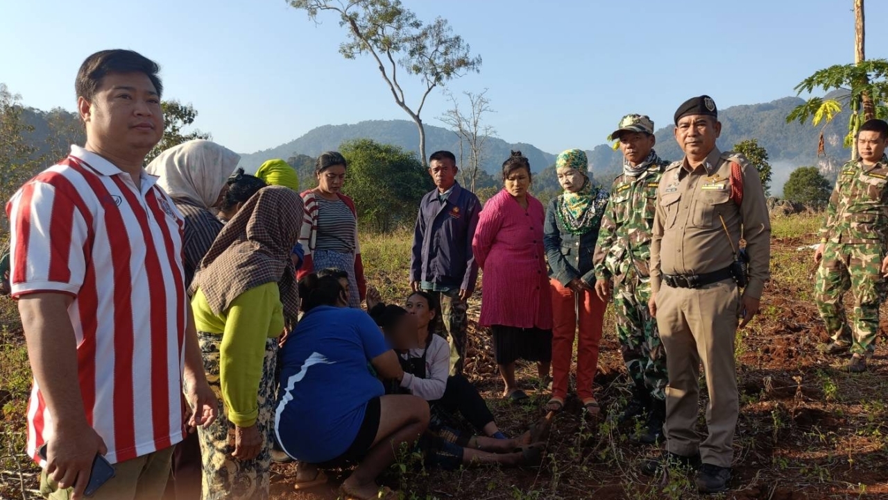 ช้างป่าทองผาภูมิ บุกไร่มันสำปะหลัง งวงฟาดผัวดับสลด เมียรอดตายหวุดหวิด