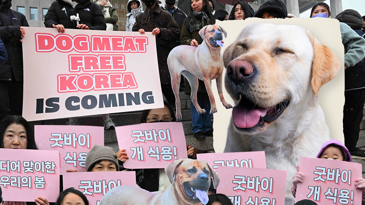 ผ่านร่าง ก.ม.ห้ามกินเนื้อสุนัขในเกาหลีใต้ ใครได้ใครเสีย