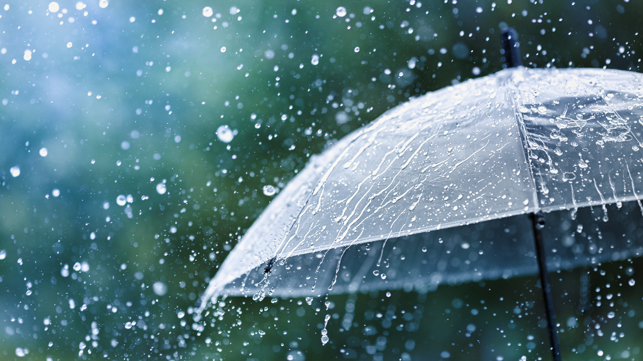 กรมอุตุนิยมวิทยา เผย "ฝนชะช่อมะม่วง" ปีนี้มาเร็ว ช่วง 12-14 ม.ค. 67
