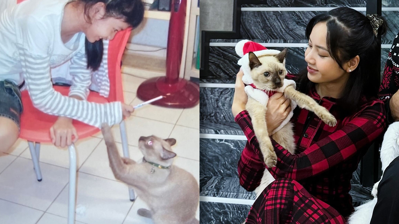 ลิซ่า BLACKPINK สุดเศร้าสูญเสียแมวสุดรัก ขอบคุณที่อยู่กันมาตลอด 18 ปี