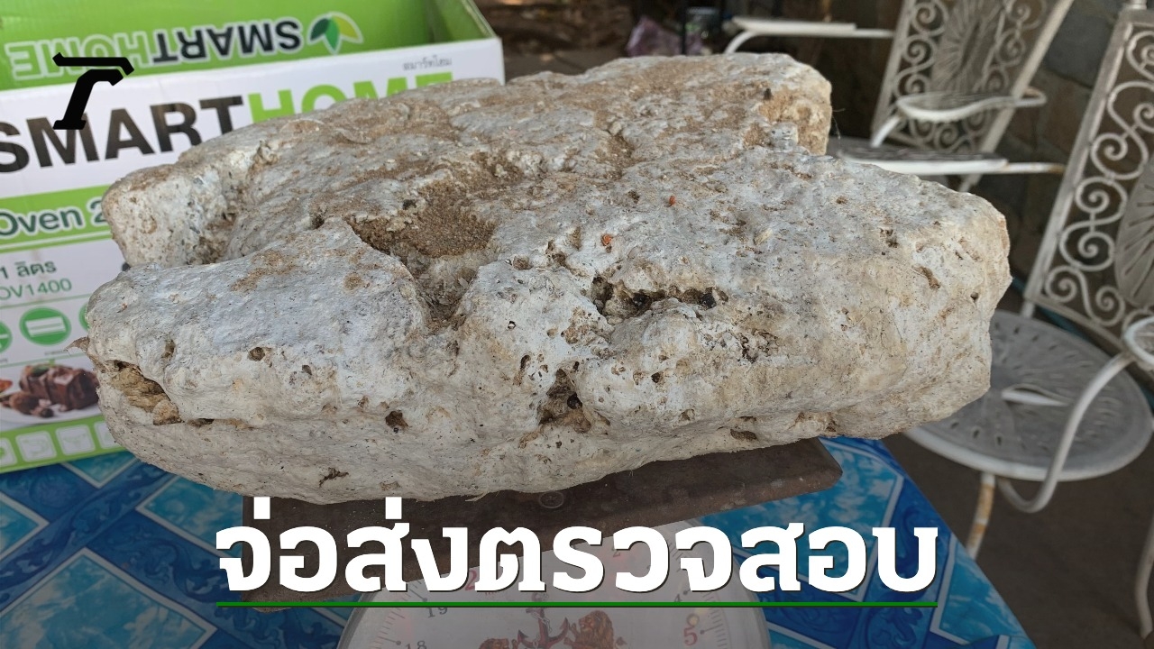 Dog finds mysterious lump of fat believed to be whale vomit or sea amber worth millions of baht near Sanctuary of Truth