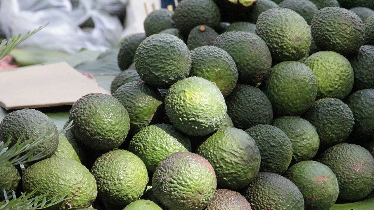 ต่อยอดสถานีพัฒนาการเกษตรที่สูง สู่โรงเรียน ผลิต แปรรูป จำหน่าย