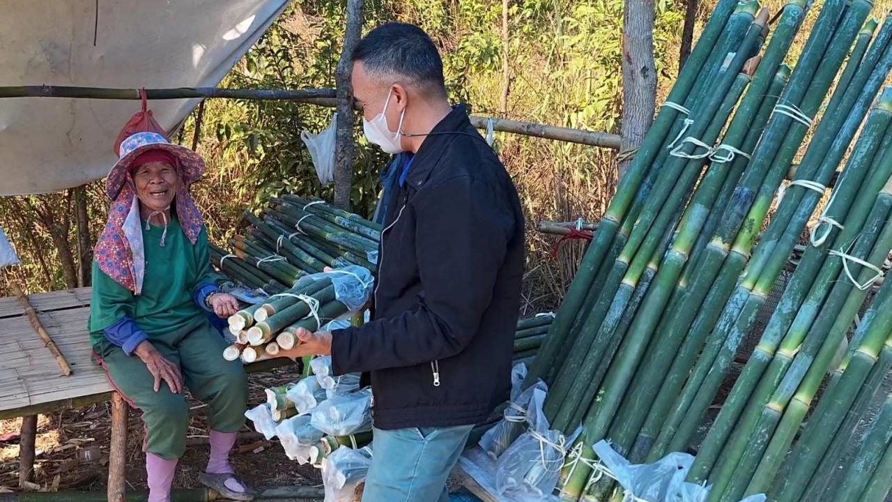 ธุรกิจรับลมหนาว ชาวบ้านพะเยาตัดไม้ไผ่ทำกระบอกข้าวหลาม ขายริมทางทำเงินดีมาก