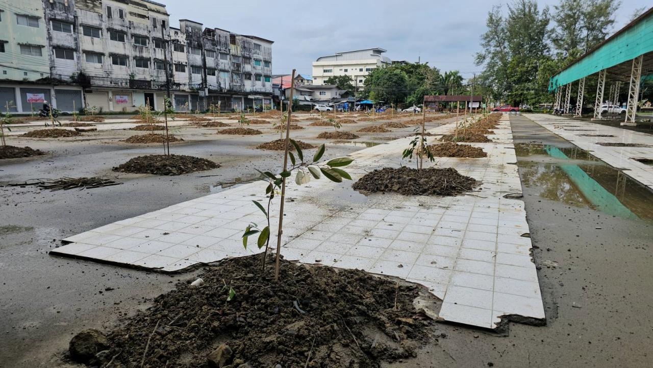 เสี่ยใหญ่เมืองคอน ลงทุนปลูกต้นทุเรียน 500 ต้น คาดเป็นโปรเจกต์สวนใหญ่กลางเมือง 