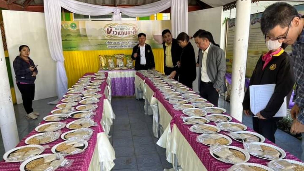 ผู้ผลิตข้าว 33 ราย ส่งผลิตภัณฑ์ประกวดข้าวหอมมะลิทางกายภาพและความหอม ครั้งที่ 2