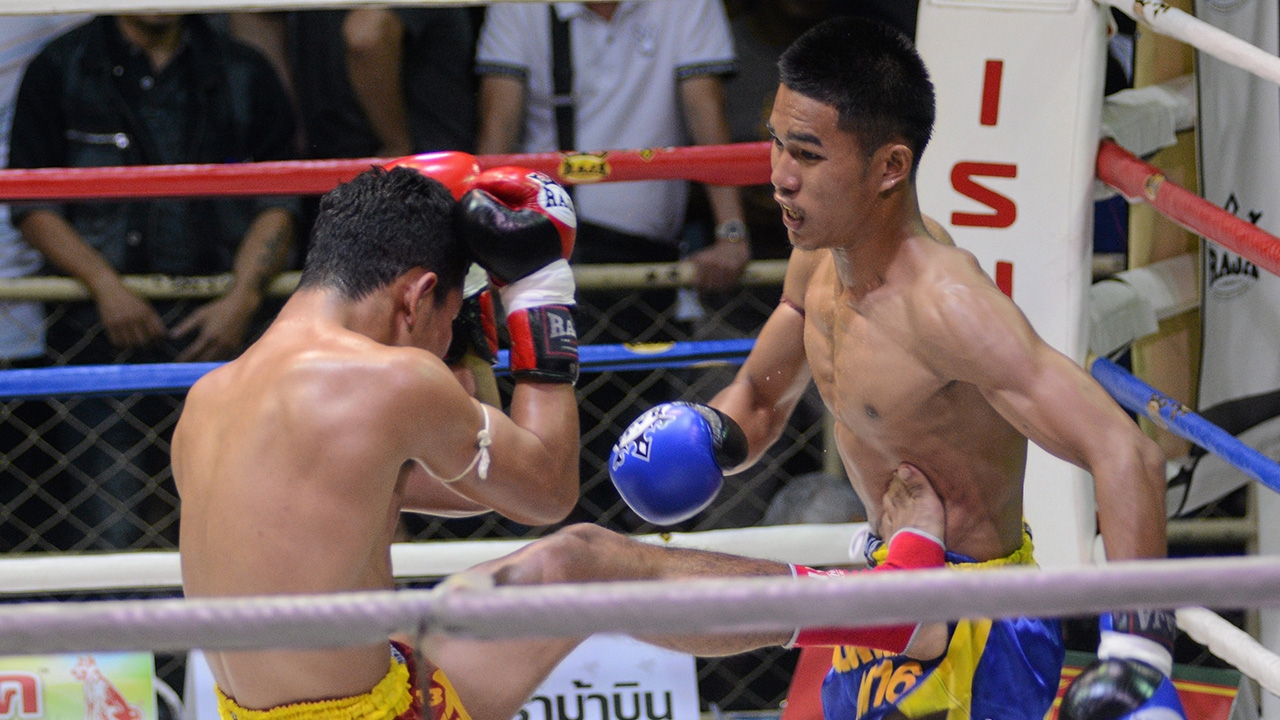 ปฏักนิล เหลี่ยมดีกว่าจะชนะ จตุรัส ในช่วงท้ายๆ เพชรสวนจันทร์ ยังต้องลุ้นต่อ